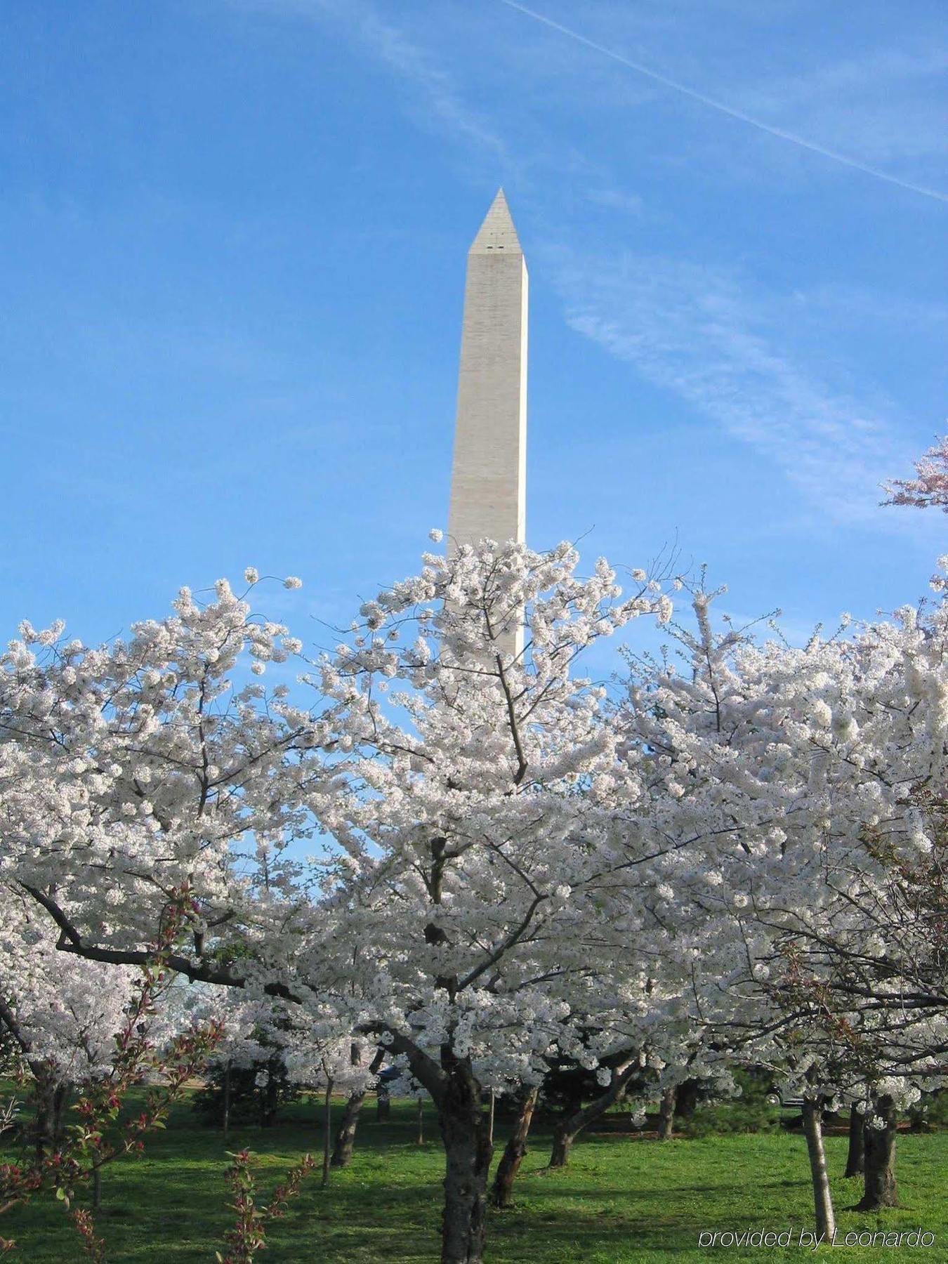 Holiday Inn Washington D.C. - Greenbelt Maryland By Ihg Eksteriør billede
